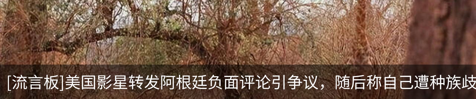 热点资讯